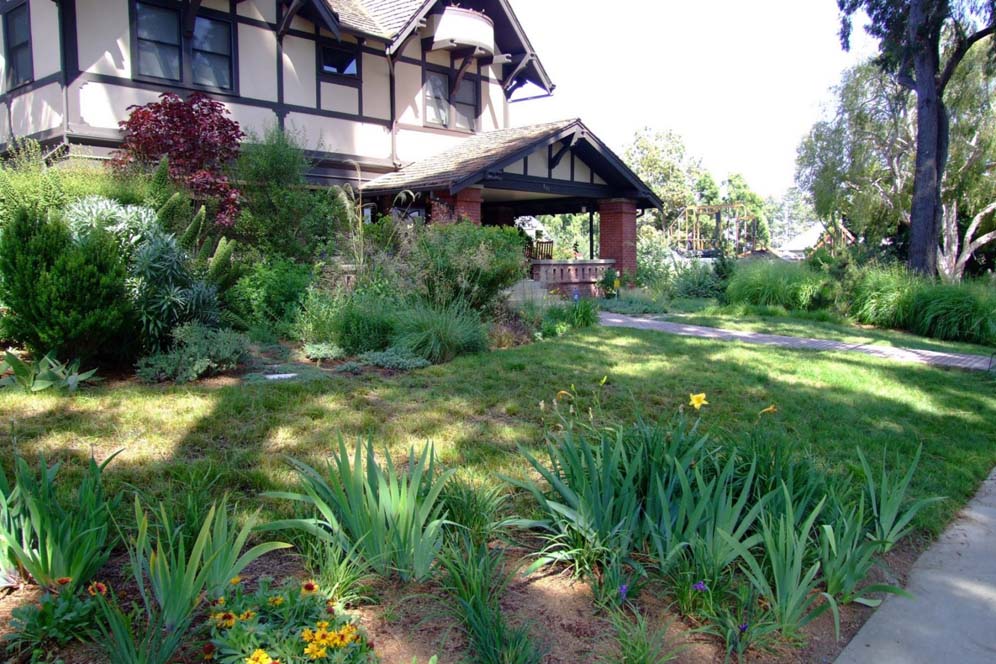 Dappled Shade in Front Yard