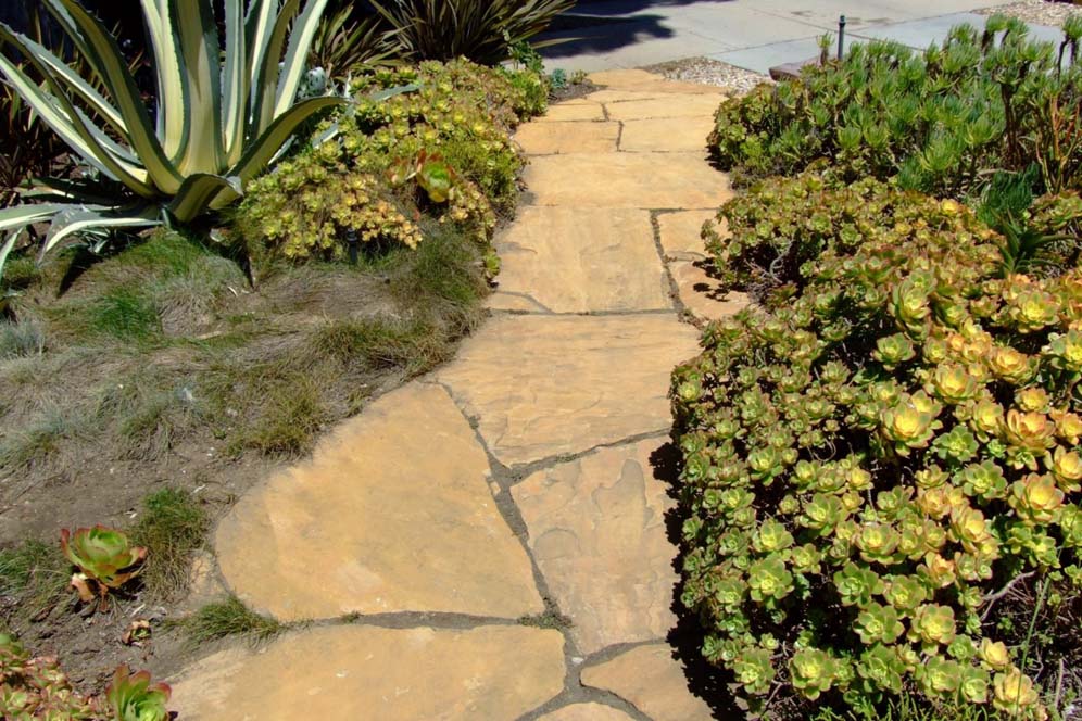 Mustard Look Pavers