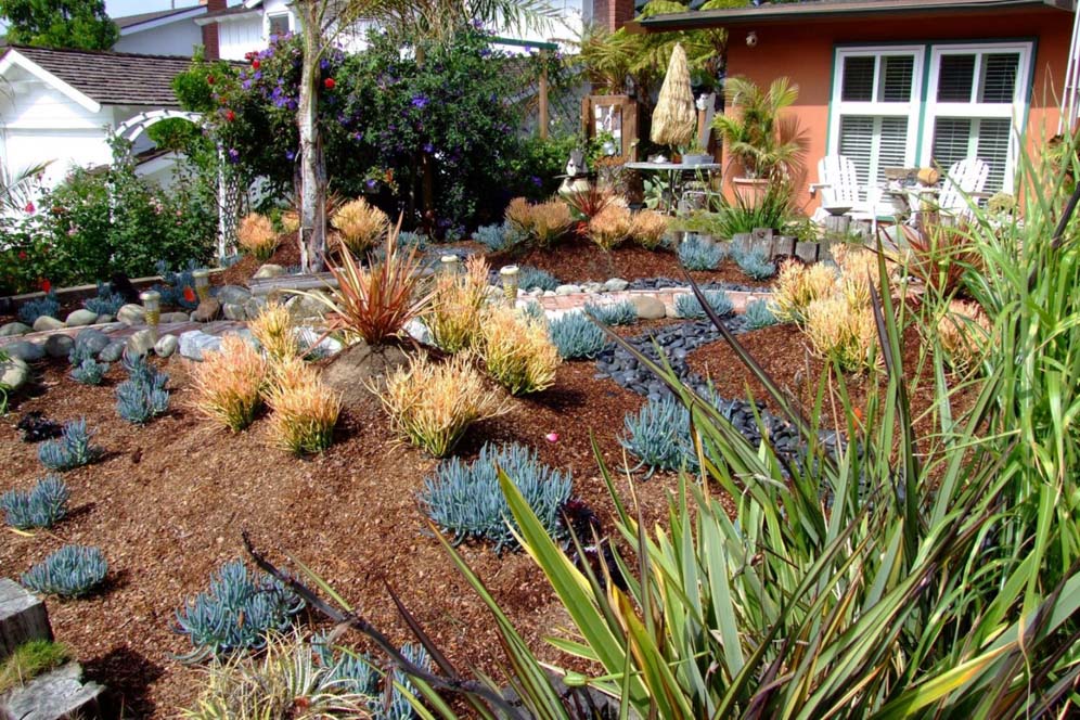 Mulched Garden