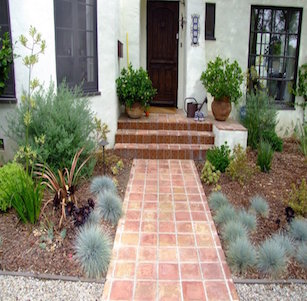 Courtyard Garden