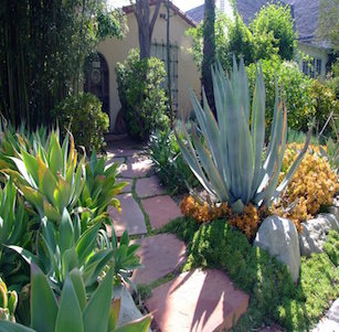 Mediterranean Gardens