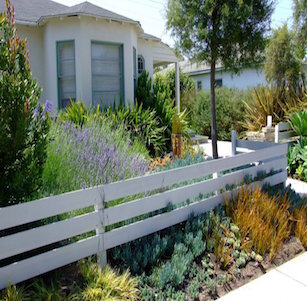 White Fence Garden